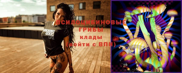 соль ск Алзамай