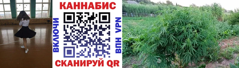 дарнет шоп  MEGA ONION  МАРИХУАНА SATIVA & INDICA  Калтан 